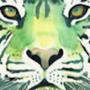 Meet your Posher, Micah